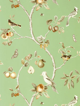 Design Tapete aus England Sanderson grün Vögel Kollektion 2020 aus Berlin online kaufen
